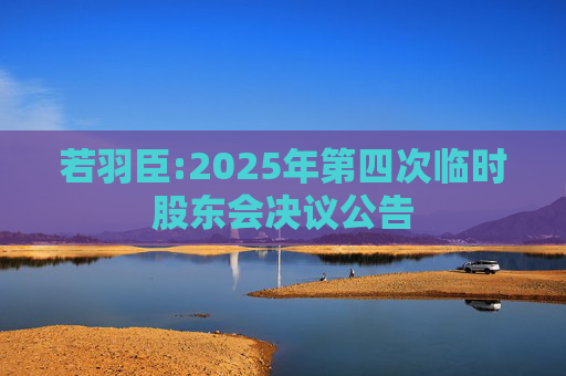 若羽臣:2025年第四次临时股东会决议公告