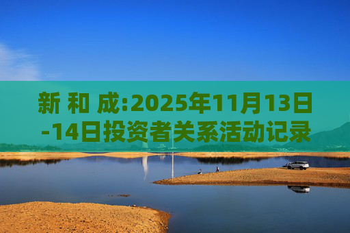 新 和 成:2025年11月13日-14日投资者关系活动记录表