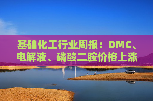 基础化工行业周报：DMC、电解液、磷酸二胺价格上涨 关注反内卷和铬盐