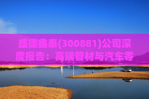 盛德鑫泰(300881)公司深度报告：高端管材与汽车零部件双轮驱动 前景可期
