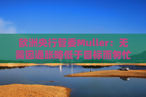 欧洲央行管委Muller:无需因通胀略低于目标而匆忙降息