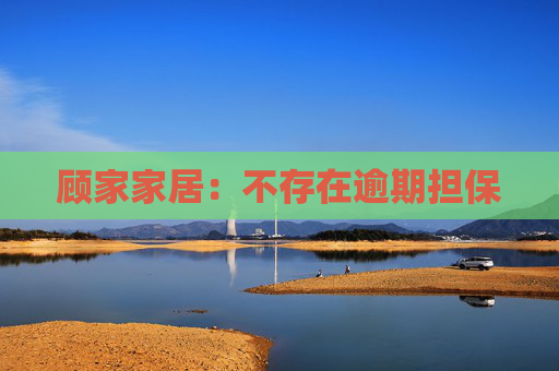 顾家家居：不存在逾期担保