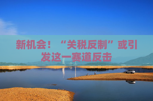 新机会!“关税反制”或引发这一赛道反击