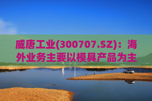 威唐工业(300707.SZ):海外业务主要以模具产品为主