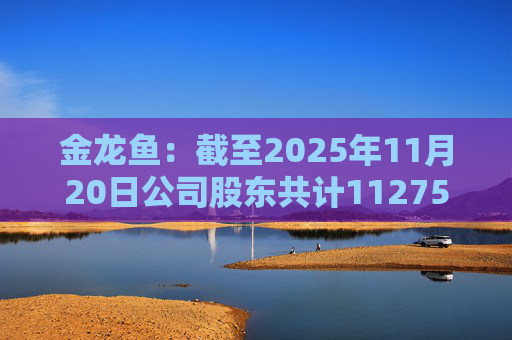 金龙鱼：截至2025年11月20日公司股东共计112754户  第1张