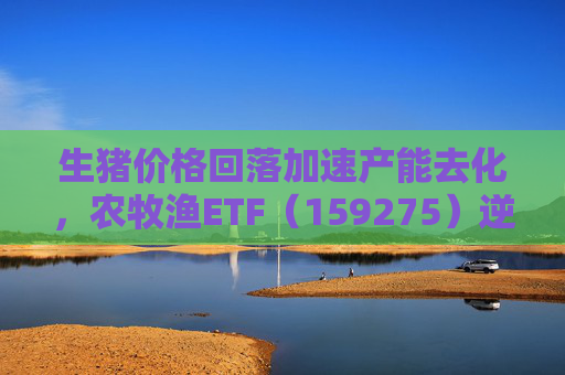 生猪价格回落加速产能去化，农牧渔ETF（159275）逆市拉升！荃银高科20CM涨停