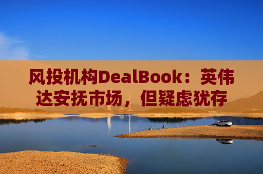 风投机构DealBook：英伟达安抚市场，但疑虑犹存