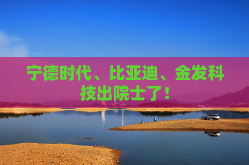 宁德时代、比亚迪、金发科技出院士了! 第1张 宁德时代、比亚迪、金发科技出院士了! 第1张