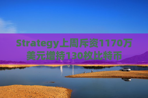 Strategy上周斥资1170万美元增持130枚比特币