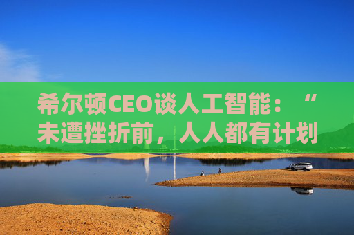 希尔顿CEO谈人工智能：“未遭挫折前，人人都有计划”