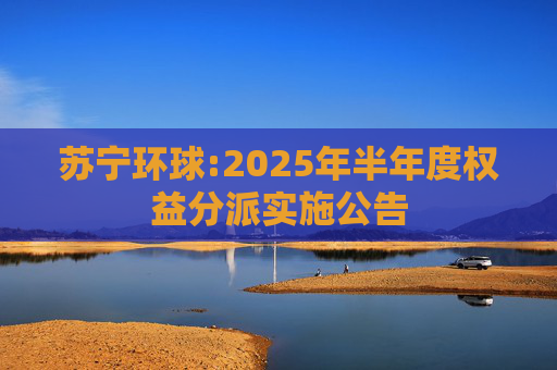 苏宁环球:2025年半年度权益分派实施公告