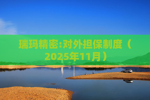 瑞玛精密:对外担保制度（2025年11月）  第1张