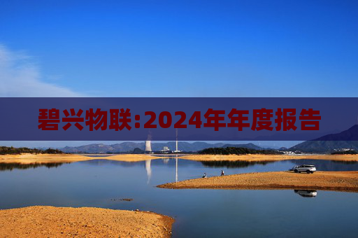 碧兴物联:2024年年度报告