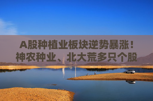 A股种植业板块逆势暴涨！神农种业、北大荒多只个股涨停，后市怎么走？