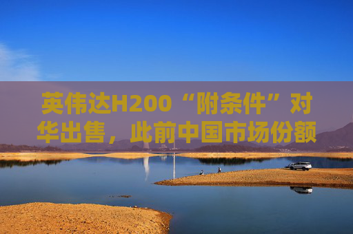 英伟达H200“附条件”对华出售，此前中国市场份额清零