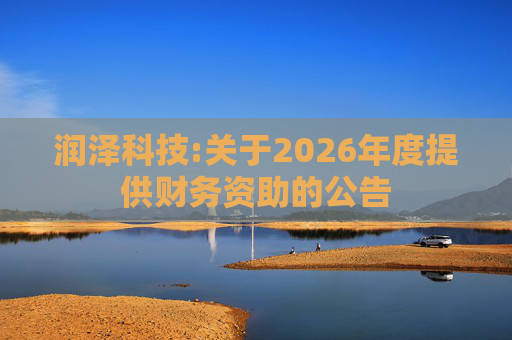 润泽科技:关于2026年度提供财务资助的公告