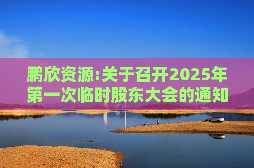 鹏欣资源:关于召开2025年第一次临时股东大会的通知