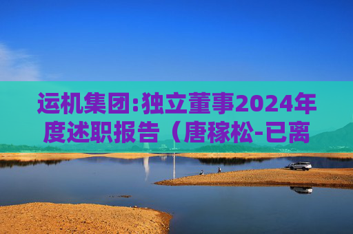 运机集团:独立董事2024年度述职报告（唐稼松-已离任）