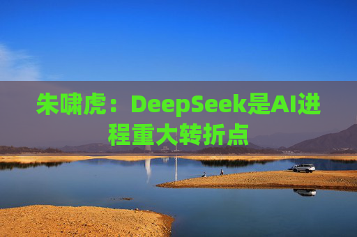 朱啸虎：DeepSeek是AI进程重大转折点