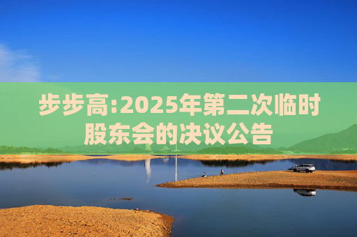 步步高:2025年第二次临时股东会的决议公告
