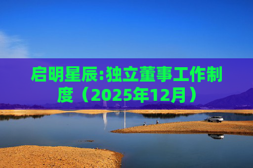 启明星辰:独立董事工作制度（2025年12月）