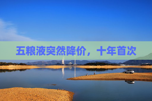 五粮液突然降价，十年首次