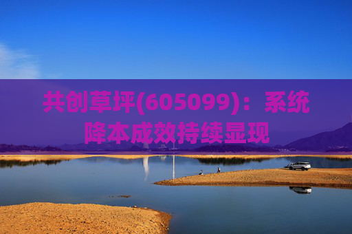 共创草坪(605099)：系统降本成效持续显现  第1张