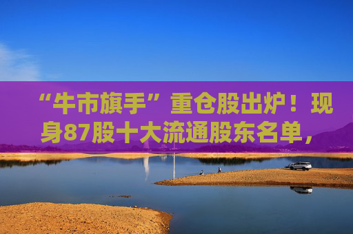 “牛市旗手”重仓股出炉!现身87股十大流通股东名单,新进46股 第1张 “牛市旗手”重仓股出炉!现身87股十大流通股东名单,新进46股 第1张