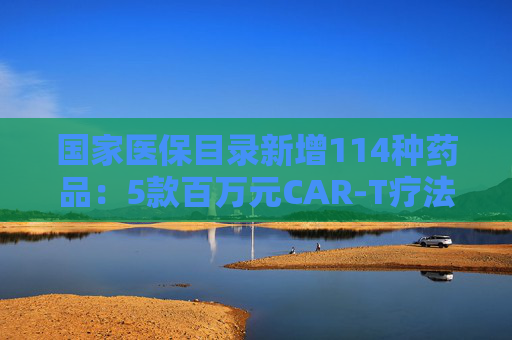 国家医保目录新增114种药品：5款百万元CAR-T疗法纳入商保，企业代表直呼这是“重要里程碑”