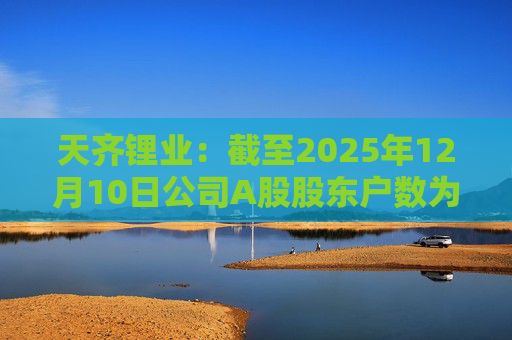 天齐锂业：截至2025年12月10日公司A股股东户数为307706户