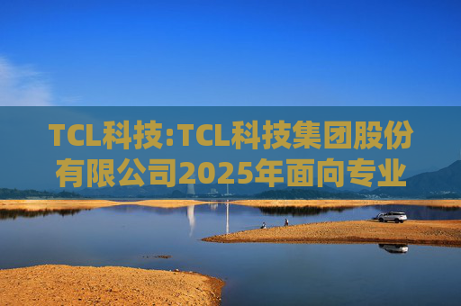 TCL科技:TCL科技集团股份有限公司2025年面向专业投资者公开发行科技创新公司债券（数字经济）（第一期）发行公告