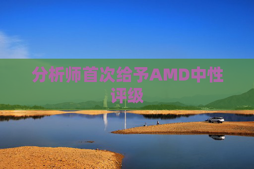 分析师首次给予AMD中性评级