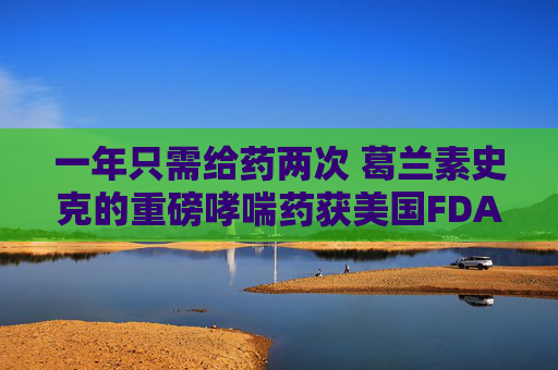 一年只需给药两次 葛兰素史克的重磅哮喘药获美国FDA批准