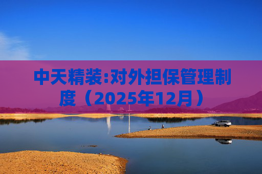中天精装:对外担保管理制度（2025年12月）
