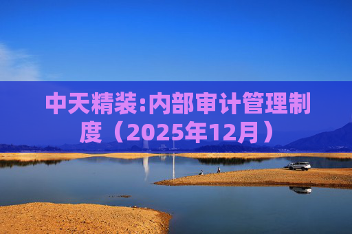 中天精装:内部审计管理制度（2025年12月）