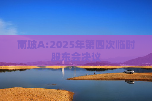 南玻A:2025年第四次临时股东会决议