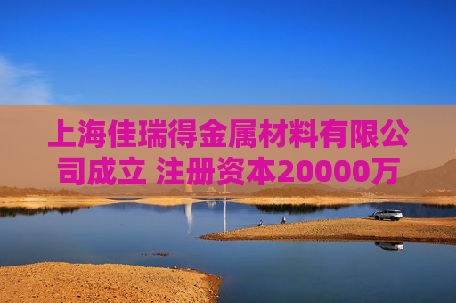 上海佳瑞得金属材料有限公司成立 注册资本20000万人民币  第1张