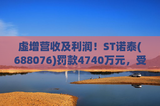 虚增营收及利润！ST诺泰(688076)罚款4740万元，受损投资者可索赔！