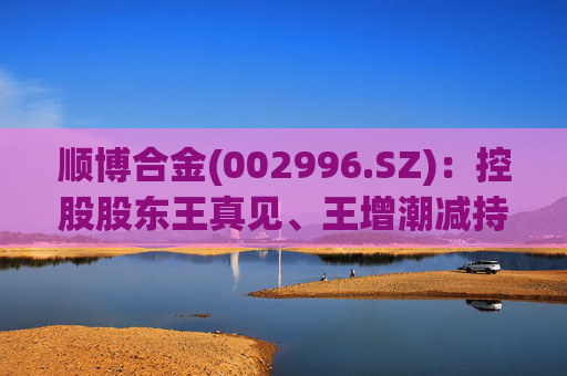 顺博合金(002996.SZ)：控股股东王真见、王增潮减持1371.88万股公司股份