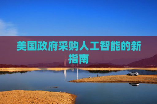 美国政府采购人工智能的新指南  第1张