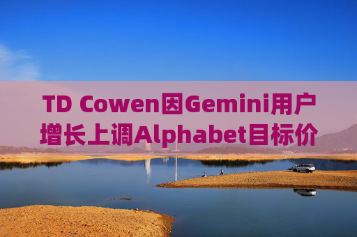 TD Cowen因Gemini用户增长上调Alphabet目标价