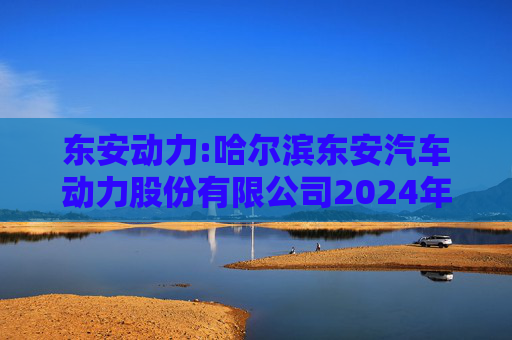 东安动力:哈尔滨东安汽车动力股份有限公司2024年度内部控制审计报告