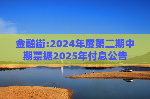 金融街:2024年度第二期中期票据2025年付息公告
