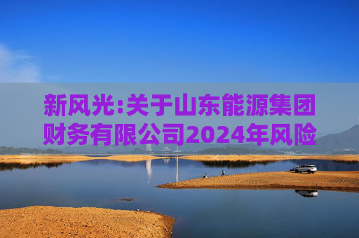 新风光:关于山东能源集团财务有限公司2024年风险评估报告  第1张