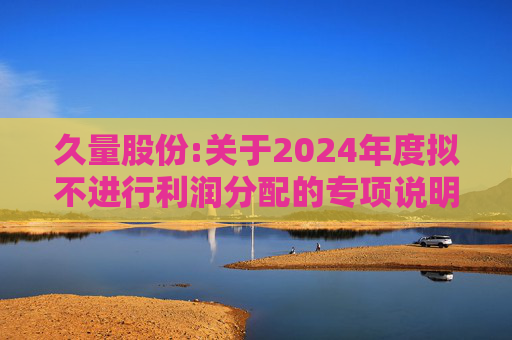 久量股份:关于2024年度拟不进行利润分配的专项说明
