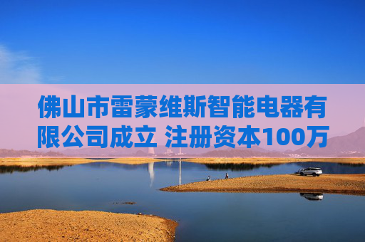 佛山市雷蒙维斯智能电器有限公司成立 注册资本100万人民币