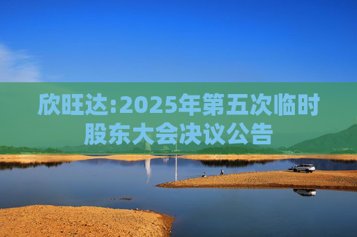 欣旺达:2025年第五次临时股东大会决议公告