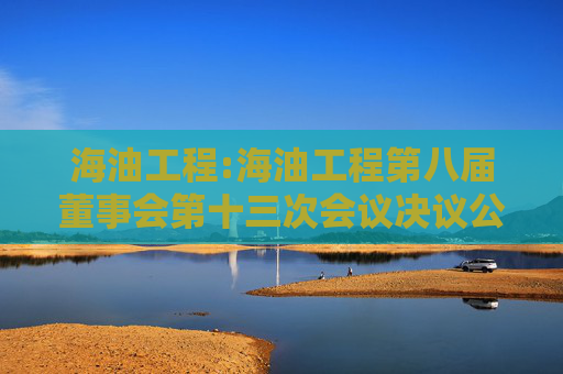 海油工程:海油工程第八届董事会第十三次会议决议公告