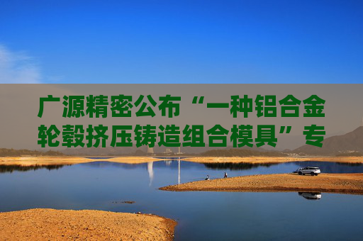 广源精密公布“一种铝合金轮毂挤压铸造组合模具”专利