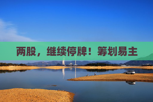 两股，继续停牌！筹划易主